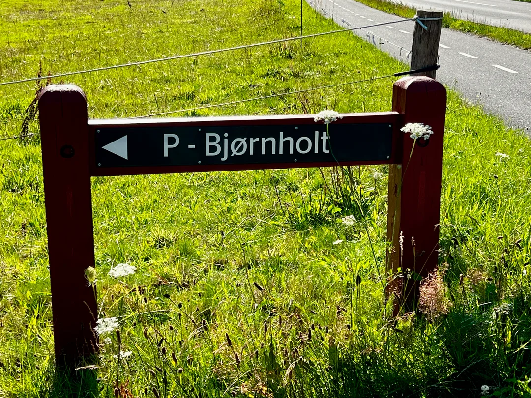Skiltet »P - Bjørnholt« viser vej til parkeringen